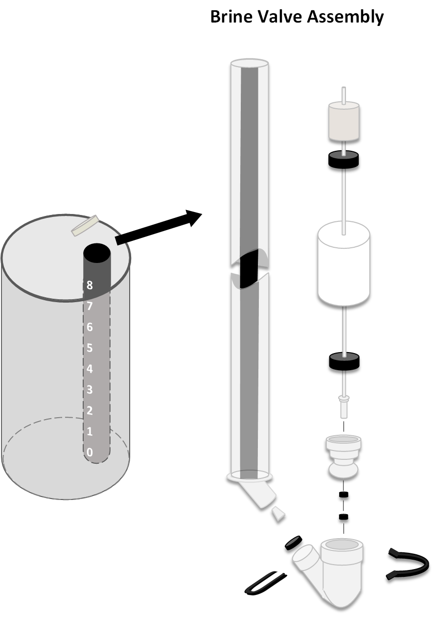 Brine Valve Assembly Cleaning EcoPure